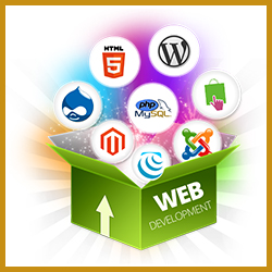 Website Development